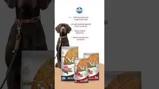 Farmina N&D Ancestral Grain Dog