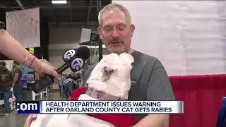 Health Department issues warning after Oakland County cat gets rabies
