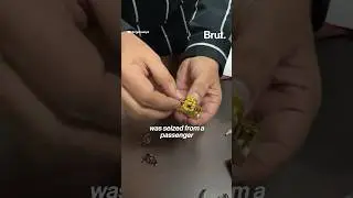 These gold smugglers got full marks for creativity, but still landed in hot water&hellip;