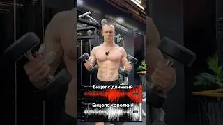Качаем бицепс по науке💪🏼За персональным планом обращаться в мой телеграмм:@TrainerSmirnoVV 🤝