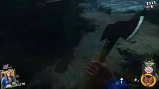Iw Zombies in RITR high round attempt(Using a glitch)
