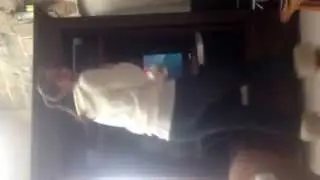 Nanny gone crazy dancing to Austin Mahone's song say something