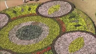 Floriade Beautiful  - Canberra's Flower Festival  Show
