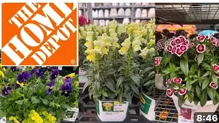 ЛУЧШИЕ НОВЫЕ ПОСТУПЛЕНИЯ РАСТЕНИЙ ИЗ HOME DEPOT | КАК СДЕЛАТЬ ВАШ САД КРАСИВЕЕ?