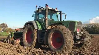 Old but gold 🚜💨 Fendt 822 | sowing grain | Amazone
