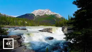 4K HDR Athabasca Waterfall White Noise &ndash; Jasper National Park, Canadian Rockies | Sleep & Focus