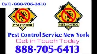 New York Pest Control - 24/7 Pest Control Service in NYC
