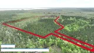 17 Acres For Sale in Tyrrell County North Carolina!