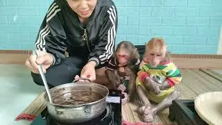 Mimi Kuku waits for Mom to make super delicious giant black jelly