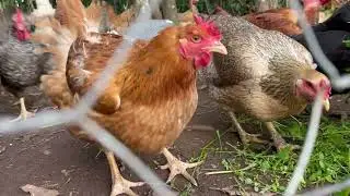 No Rancho dos Rocha, a vida acontece com simplicidade e muito amor!