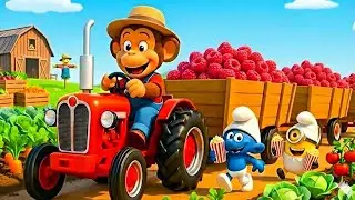 🐒A Beautiful Farm Day Turns Sweet as Monkey KiKi Harvests Fresh Raspberries Today🍓