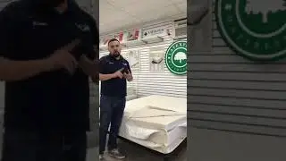 Phoenix Scottsdale AZ Whole Mattress natural Gols certified organic latex foam bed in Los Angeles LA