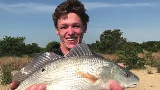 VBCPS Environmental Studies Program