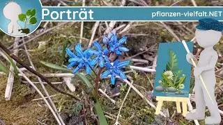 Portr&auml;t 183 - 
