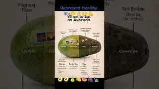 Avocado Represents Good Heath