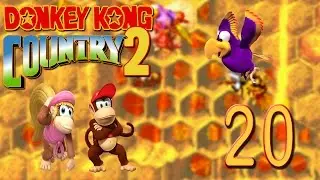 Donkey Kong Country 2 [German HD] | Let's Play #020 ★ Quawks' gro&szlig;er Auftritt!