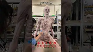 El ACTOR GIGANTE De Alien Romulus #peliculas #tendencias #fyp #movies