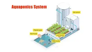 Aquaponics System-Share Double Win Farming Business Model.