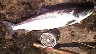 Where to fish in Ireland, Vol. I; Co. Donegal