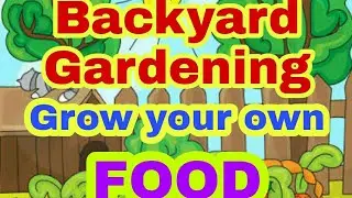 Grow Your Own Food. Backyard Gardening during Community Quarantine || Joel Valin