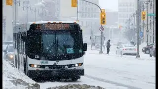 More on the story: What is Winnipeg Transit's master plan?