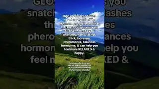 Why It Always Sells Out #GlowUp #wellnessgift #hormonehealth