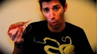 Stop Motion Sushi