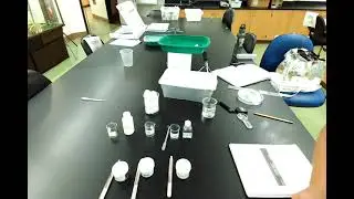 Snail Lab Setup: Solids and Liquids to test