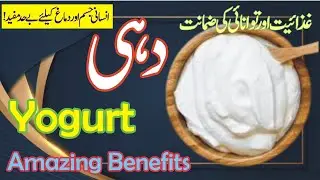 Yogurt Is A Food Rich In Energy And Nutrients #Health Recorder