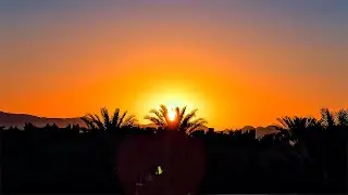 Journey through Morocco - geology and fossils
