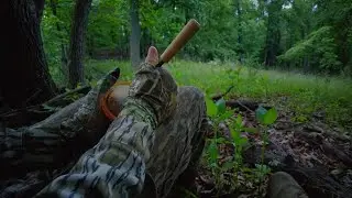 Turkey hunting 2022