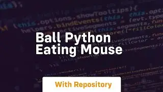 ball python eating mouse