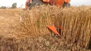 Reaper Machine حصادة قمح ، شركة عزب عبدالعظيم