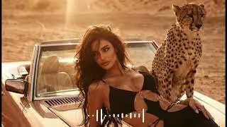 Hajibeyli - Amor Mio (Original Mix) || ELVIN Deep House Remix 2025 TikTok Trending Song