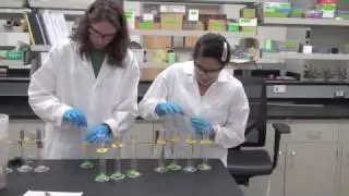 Anaerobic Biodegradation Experiment