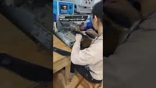 Insole pad printer and embossing press