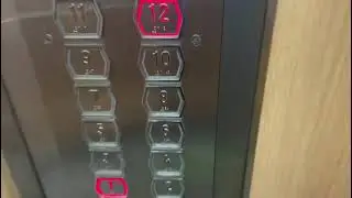 EM Elevator at Block 736 Woodlands Circle (Lift A).