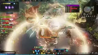 [Lost Ark] Argos Phase 3 Paladin POV