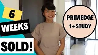|    PRIMEDGE    |    SOLD IN 6 WEEKS    |