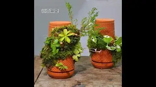 [Th&aacute;p C&acirc;y Đứng - Terraplanter] Hướng dẫn đưa c&acirc;y l&ecirc;n th&aacute;p