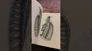 The unboxing video of Morbid Anatomy: An Image Archive for Artists and Designers by Vault Editions.