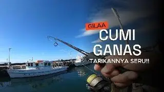GILA !!! CUMI GANAS TARIKANNYA SERU