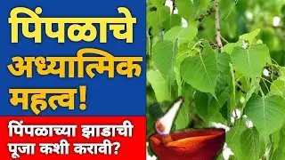 Spiritual importance of Peepal tree | How to worship Peepal | Pimpalachi Puja Kashi Karavi