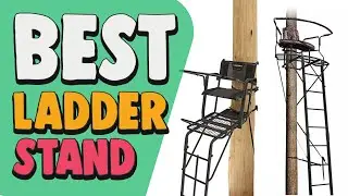 Best Ladder Stand in 2020 &ndash; Budget Friendly Products For You!