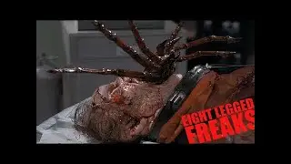 Eight Legged Freaks Movie Explained in Hindi |Sci-fi Film Summarized हिन्दी
