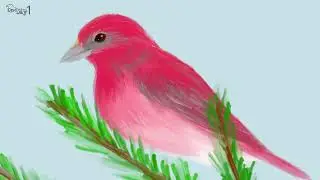 Common Rosefinch 붉은양진이 그리기