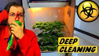 Cleaning/Painting my horrible fridge | Home Improvement Ep 4
