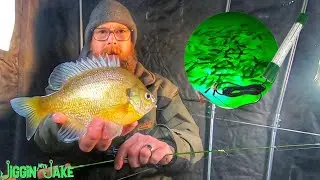 ПОДЛЕДНАЯ РЫБАЛКА с ДЕШЕВЫМ светильником Amazon Bait Light | РАБОТАЕТ ЛИ ОНО???