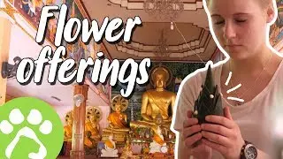 Making flower offerings in Laos