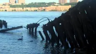 VID00454